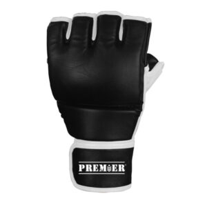Revgear Premier MMA Gloves