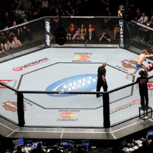 PRO USA 30' X 30' Official PRO Competition Octagon MMA Cage Complete