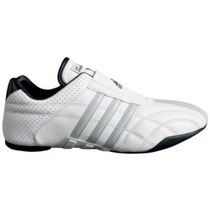 Adidas Martial Arts Shoes