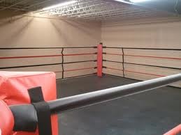PRO Boxing MMA Ring Made in USA