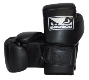 8 oz. Boxing Gloves