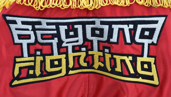 RDX Fire Muay Thai Shorts - Image 6