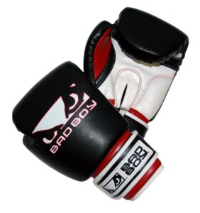 Youth Boxing Gloves