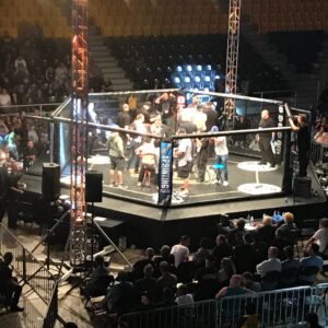 PRO USA Ultimate 30x30 Foot MMA Cage with Catwalk