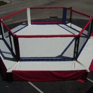Professional MMA Elevated Hexagon Cage