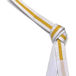 Premium Adjustable Velcro Belt