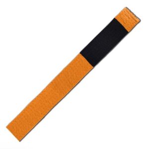 RevGear Brazilian Jiu Jitsu Belt - Orange