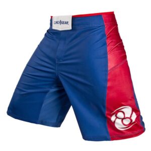 Fight Shorts