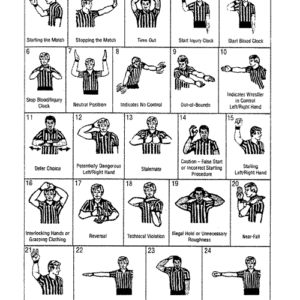 Wrestling Referee Signal Card - 5 Pack