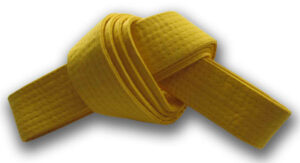 Jiu Jitsu Belts